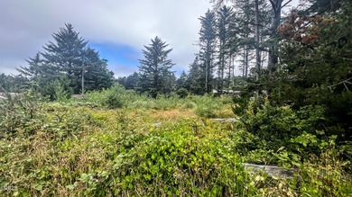Enjoy distant ocean views from this .22-acre lot, tucked away at - photo 10
