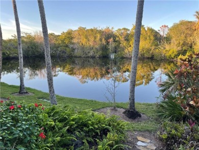 Lake Home For Sale in Bonita Springs, Florida