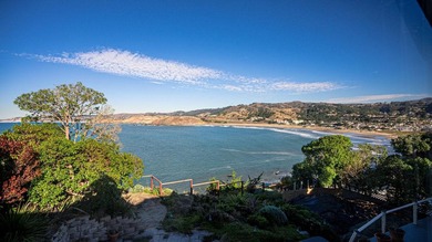 Oceanfront property with stunning views of the Pacific Ocean and - photo 14