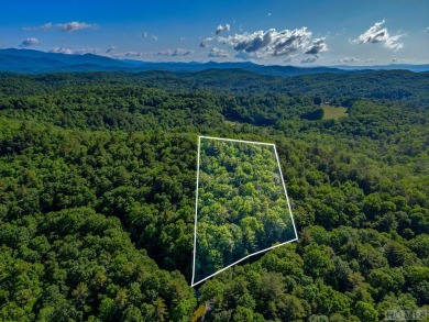 Lake Lot For Sale in Lake Toxaway, North Carolina