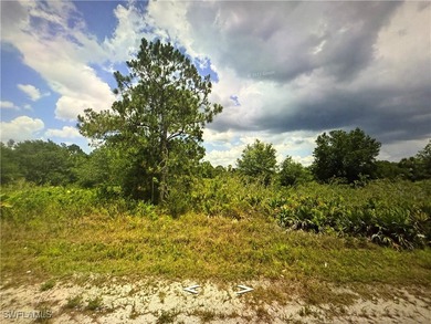 Lehigh Acres Area Lot For Sale in Lehigh Acres Florida
