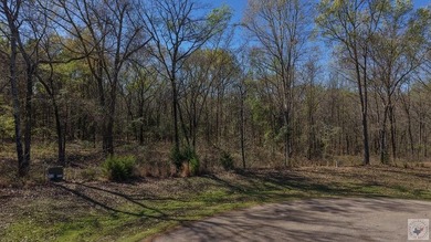 This 10 acre tract is located within the gated Paradise Shores - photo 4