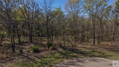 This 10 acre tract is located within the gated Paradise Shores - photo 5