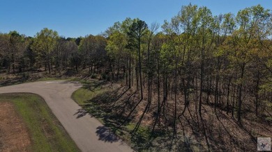 This 10 acre tract is located within the gated Paradise Shores - photo 8