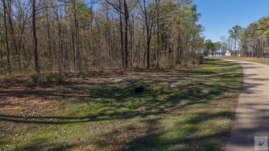 This 10 acre tract is located within the gated Paradise Shores - photo 10