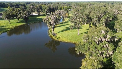 (private lake, pond, creek) Acreage For Sale in Summerfield Florida