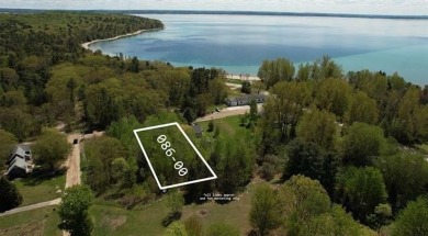 Grand Traverse Bay - East Arm Lot For Sale in Peninsula Twp Michigan