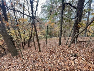 Coosawattee River - Gilmer County Lot For Sale in Ellijay Georgia