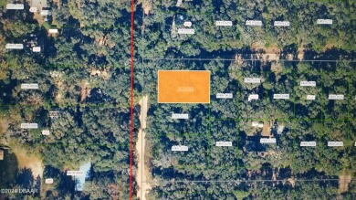 Lake Lot For Sale in Interlachen, Florida