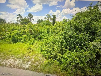 Lehigh Acres Area Lot For Sale in Lehigh Acres Florida