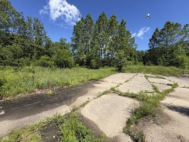 Rare Opportunity in Brownsburg! Nestled within the city limits - photo 2