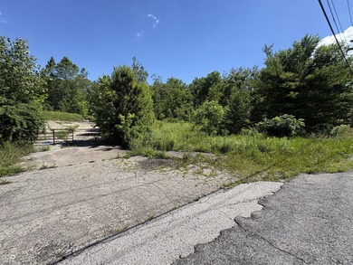 Rare Opportunity in Brownsburg! Nestled within the city limits - photo 3