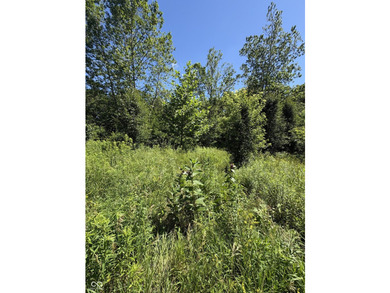 Rare Opportunity in Brownsburg! Nestled within the city limits - photo 5