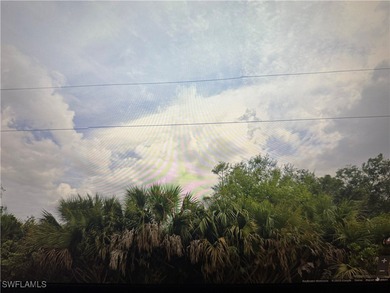 Lehigh Acres Area Lot For Sale in Lehigh Acres Florida