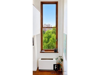 Park View Alert! Rarely available south facing duplex - photo 4