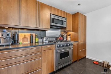 Park View Alert! Rarely available south facing duplex - photo 7