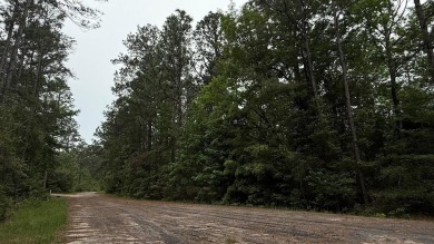 Lake Lot For Sale in Brookeland, Texas