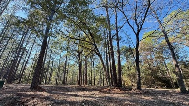 Lake Sam Rayburn  Lot For Sale in Brookeland Texas