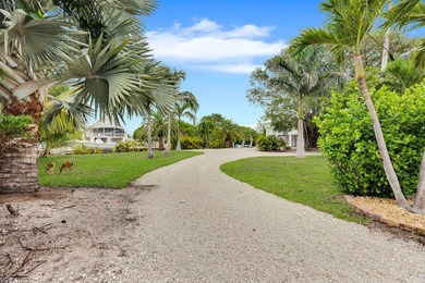 The Angler's Retreat -- Big Pine Key Resort-style canal front - photo 45