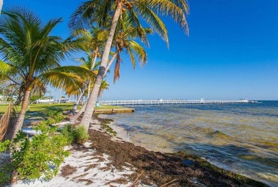This home is situated directly on the water! Amazing location - photo 46
