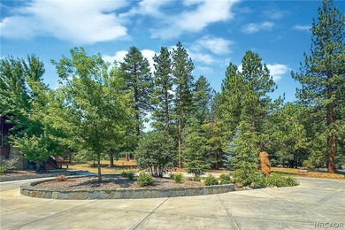 Experience the pinnacle of Big Bear mountain living in this - photo 47