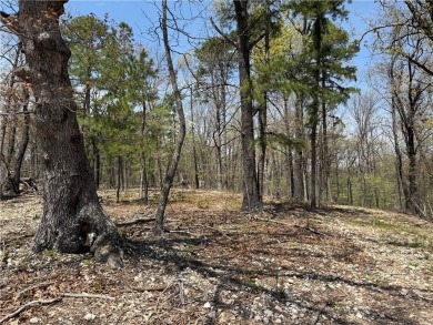 Lake Acreage For Sale in Eureka Springs, Arkansas
