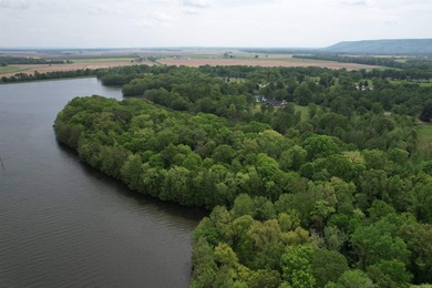 This stunning property includes lots of shorefront on Lake - photo 11