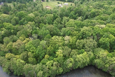 This stunning property includes lots of shorefront on Lake - photo 12