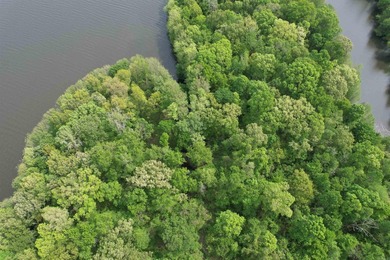 This stunning property includes lots of shorefront on Lake - photo 13