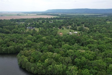 This stunning property includes lots of shorefront on Lake - photo 14
