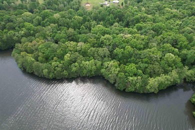 This stunning property includes lots of shorefront on Lake - photo 15
