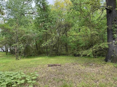 This stunning property includes lots of shorefront on Lake - photo 16