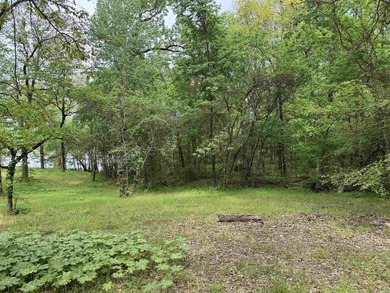 This stunning property includes lots of shorefront on Lake - photo 17
