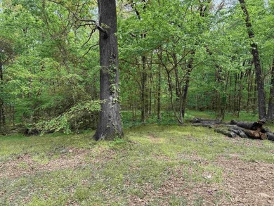 This stunning property includes lots of shorefront on Lake - photo 18
