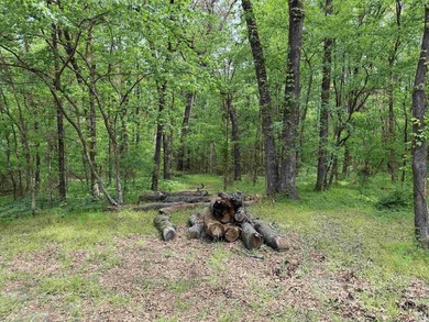 This stunning property includes lots of shorefront on Lake - photo 19