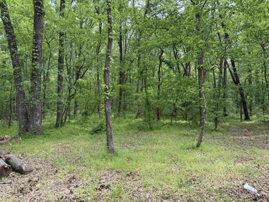 This stunning property includes lots of shorefront on Lake - photo 20