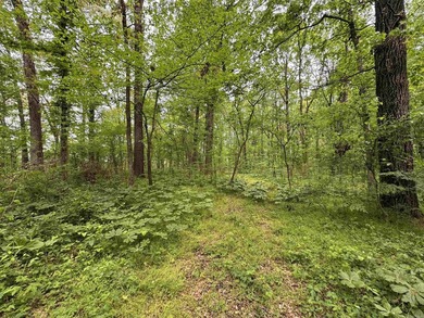 This stunning property includes lots of shorefront on Lake - photo 21