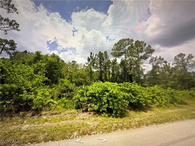 Lehigh Acres Area Lot For Sale in Lehigh Acres Florida