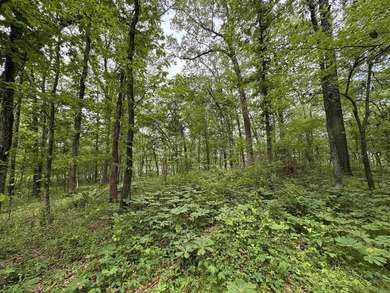 This stunning property includes lots of shorefront on Lake - photo 22