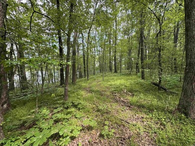 This stunning property includes lots of shorefront on Lake - photo 23