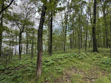 This stunning property includes lots of shorefront on Lake - photo 24