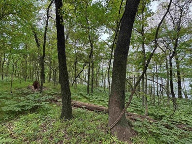 This stunning property includes lots of shorefront on Lake - photo 25