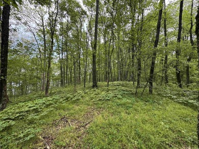 This stunning property includes lots of shorefront on Lake - photo 26