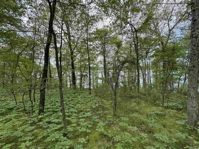 This stunning property includes lots of shorefront on Lake - photo 27
