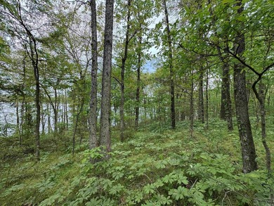 This stunning property includes lots of shorefront on Lake - photo 28