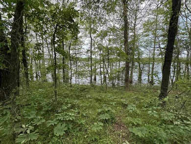 This stunning property includes lots of shorefront on Lake - photo 29