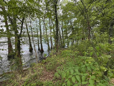This stunning property includes lots of shorefront on Lake - photo 30