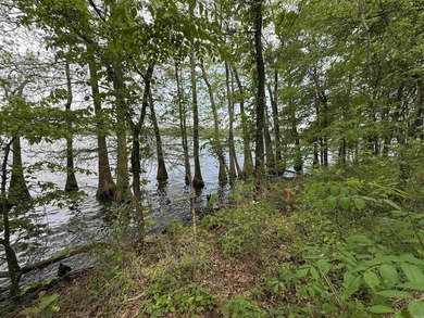 This stunning property includes lots of shorefront on Lake - photo 31