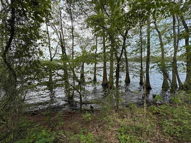 This stunning property includes lots of shorefront on Lake - photo 32
