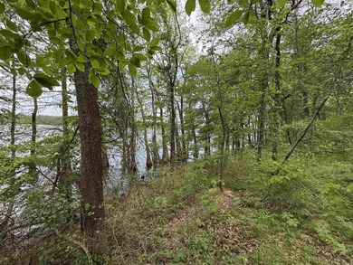 This stunning property includes lots of shorefront on Lake - photo 33